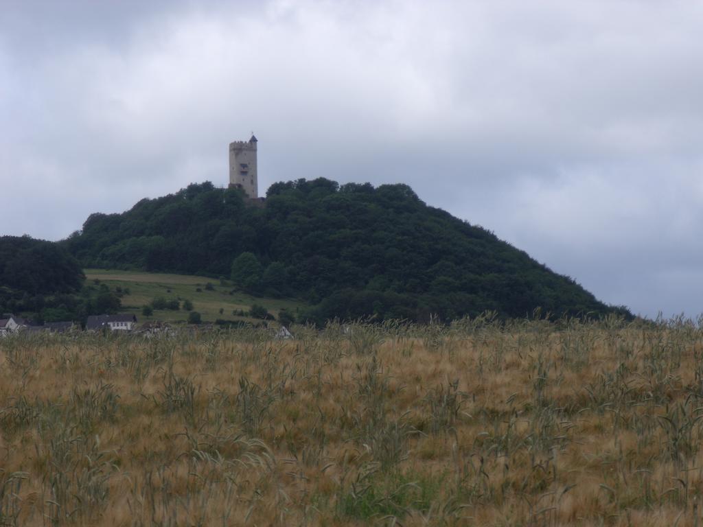 Ferienwohnung Am Waldrand Bad Breisig Zewnętrze zdjęcie